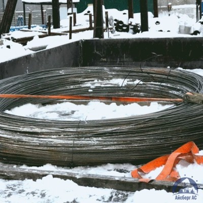 Проволока овальная 0,22х0,3-1-55 ГОСТ 3875-83 купить  в Сыктывкаре